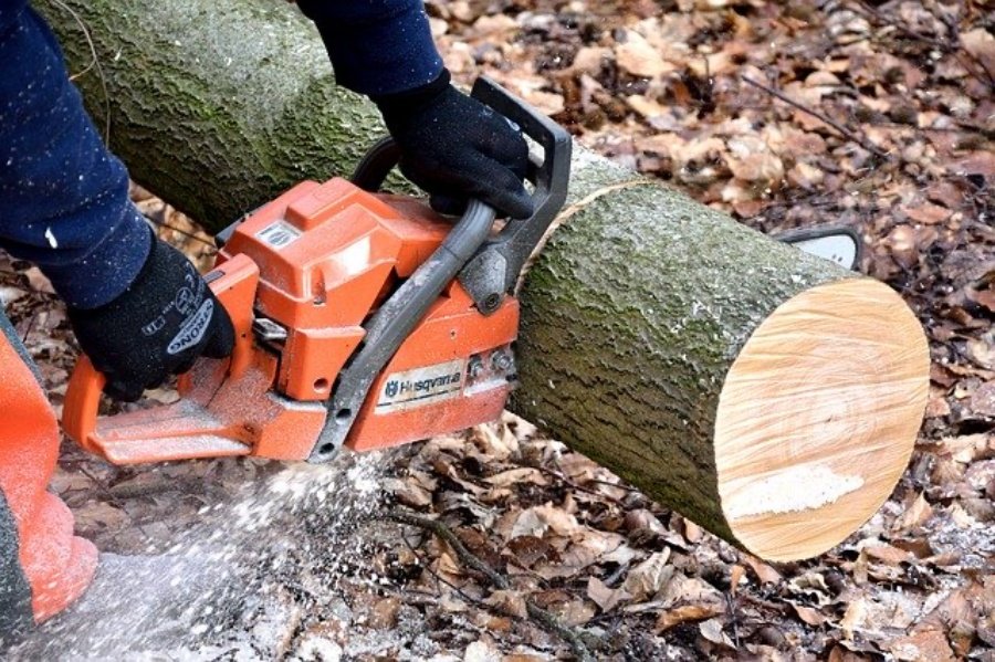cutting-firewood-jpg.jpg